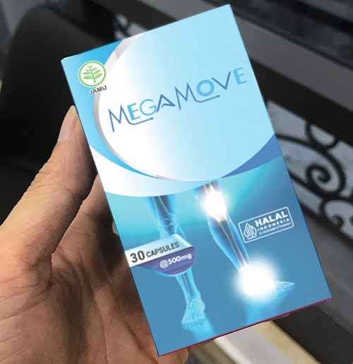 Megamove