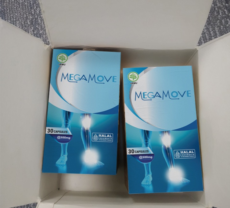 Megamove