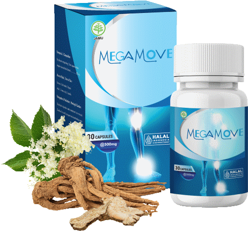 Megamove